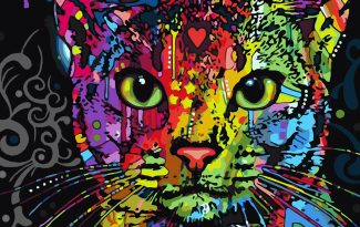 Картина "Абиссинская кошка" рисование по номерам 50*40см КН5040080