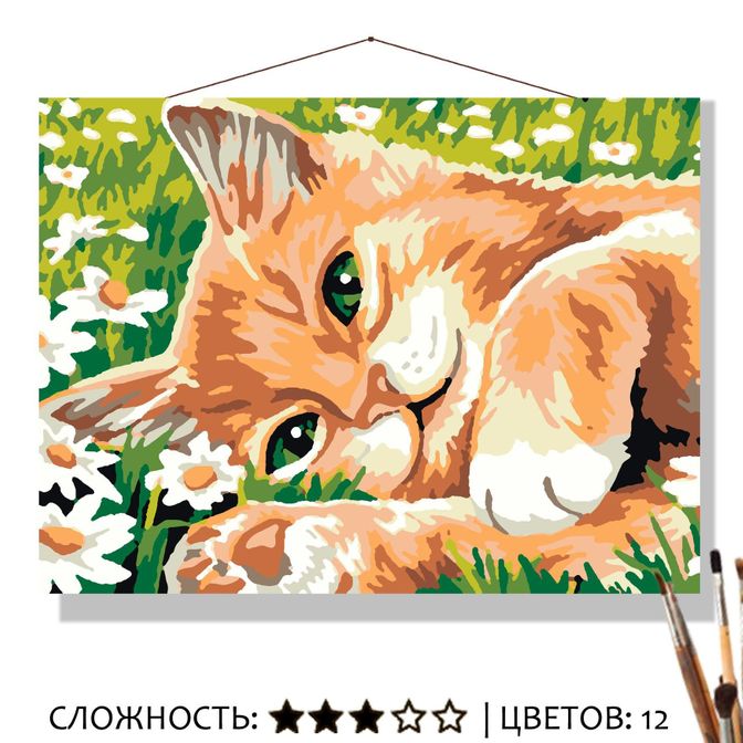 Картина Рыжик по номерам на холсте 30*40см КН3040076 - Екатеринбург 