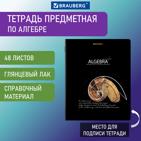 Тетрадь 48 листов 404520 клетка Алгебра Сияние знаний Brauberg - Йошкар-Ола 
