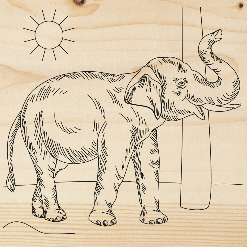 Доска для выжигания 12-0925 "Слон" - Самара 