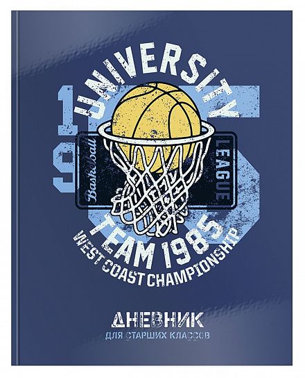 Дневник ДСТ-БС старшые классы Баскетбол - Челябинск 