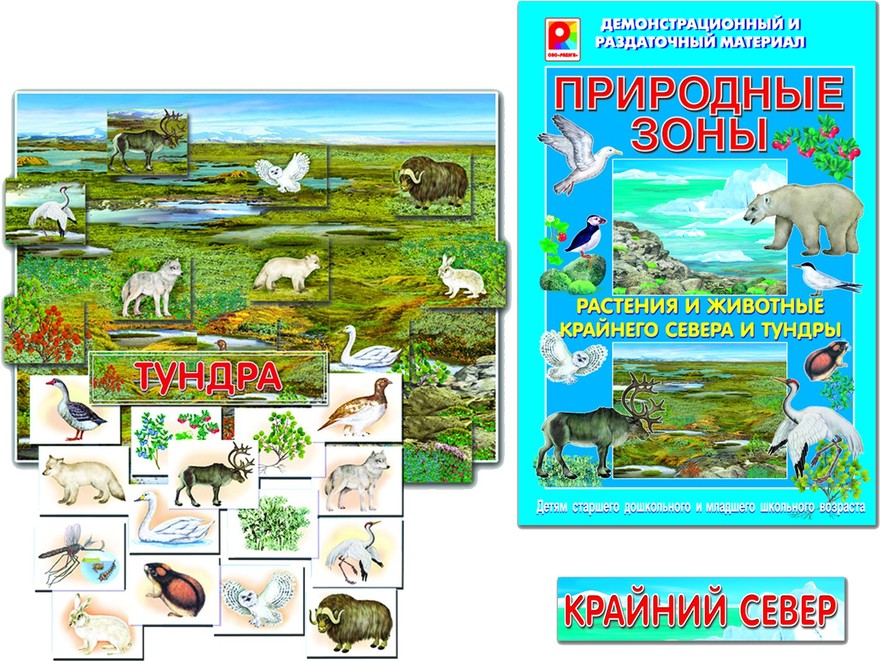 Игра с-726 Растения и животные Крайнего Севера и тундры Киров Радуга - Москва 