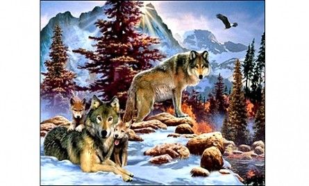 Мозаика алмазная "Два волка" ST-394 34 цвета 30*40см Рыжий кот