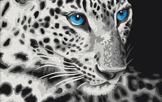 Картина "Леопард" рисование по номерам 50*40см КН5040059 - Тамбов 