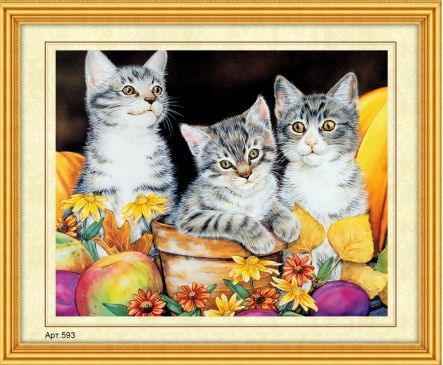 Вышивание бисером №593 "Забавные котята" 27*35см Рыжий кот - Оренбург 