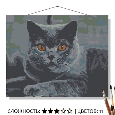 Картина Серый кот рисование по номерам 50*40см КН5040433 - Альметьевск 