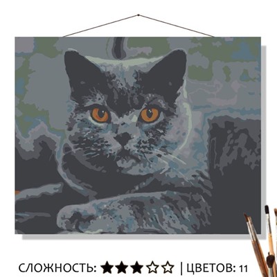 Картина Серый кот рисование по номерам 50*40см КН5040433 - Йошкар-Ола 