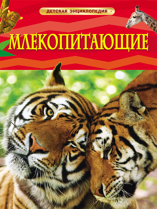 Книга 17355 "Млекопитающие" Детская энциклопедия Росмэн