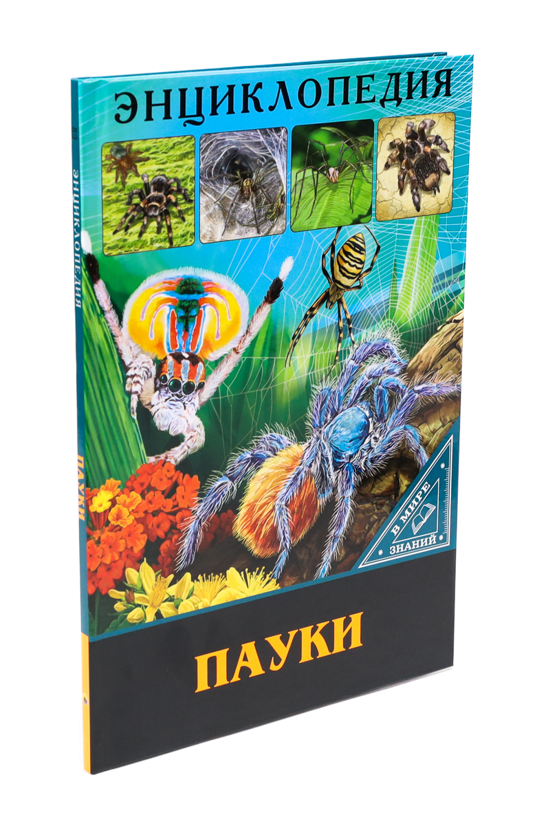 Энциклопедия 30724-1 Пауки В мире знаний Проф-пресс