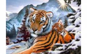 Вышивание крестиком XA2020 "Тигр и тигренок" 40*50см Рыжий кот