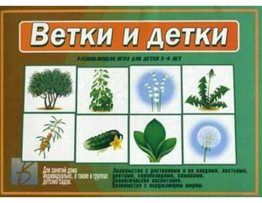 Игра Д-512 Ветки и детки Киров, Бурдина