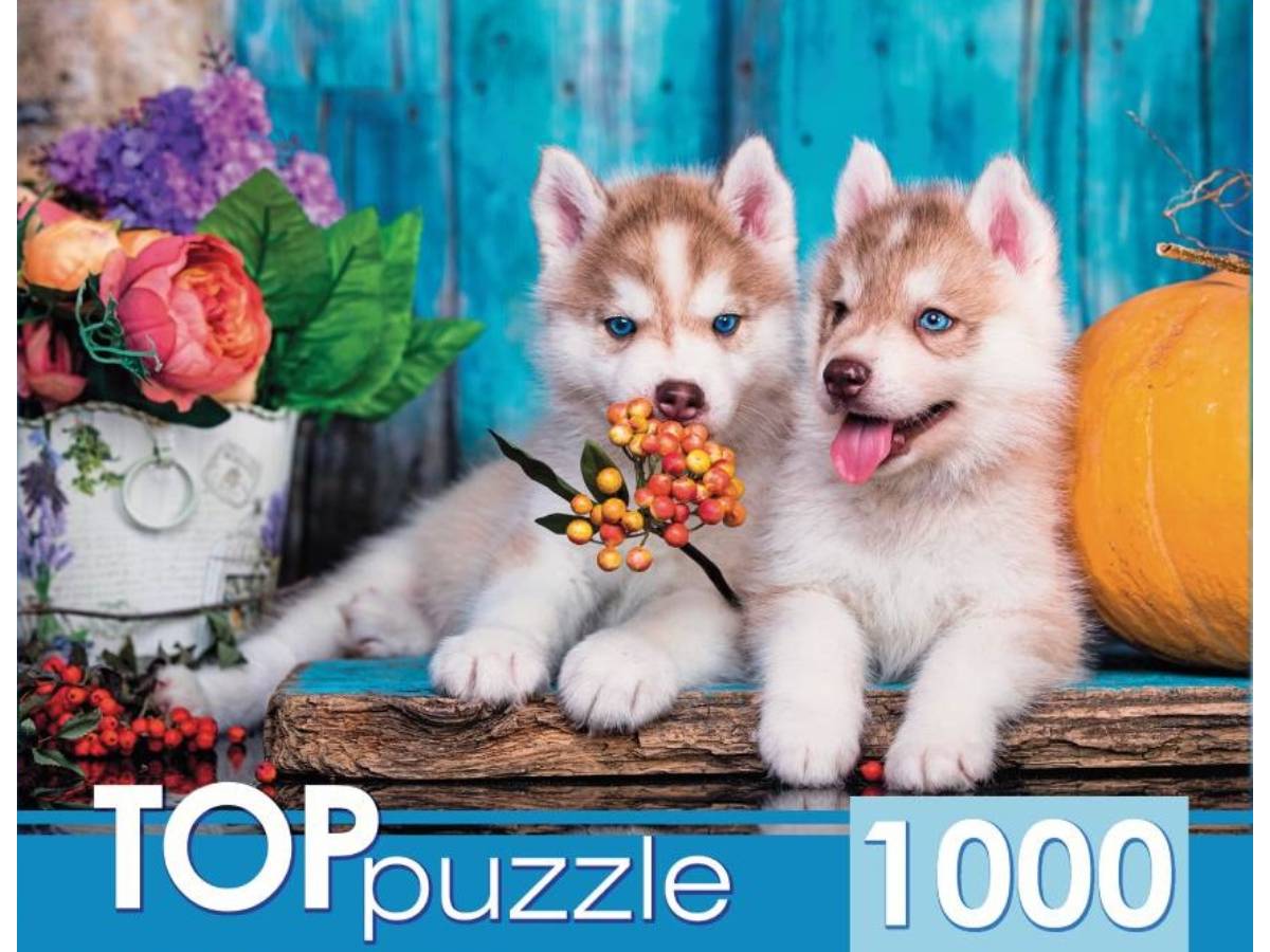 Пазлы 1000эл ШТТП1000-7180 Два щенка хаски Рыжий кот