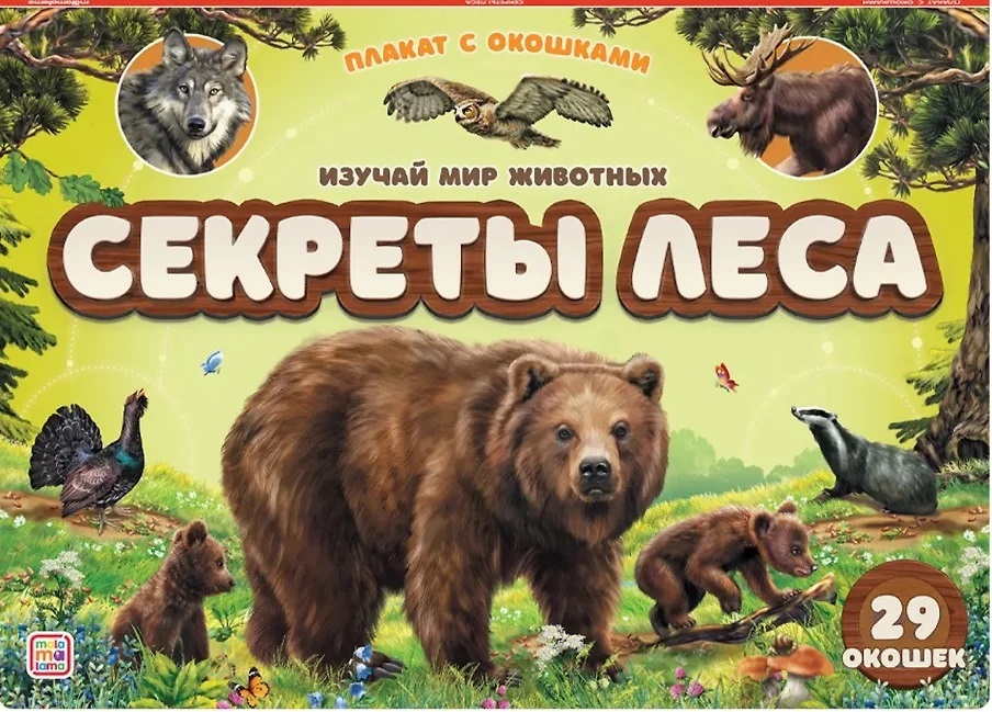 Плакат с окошками 820-7 Секреты леса ТМ Маламалама