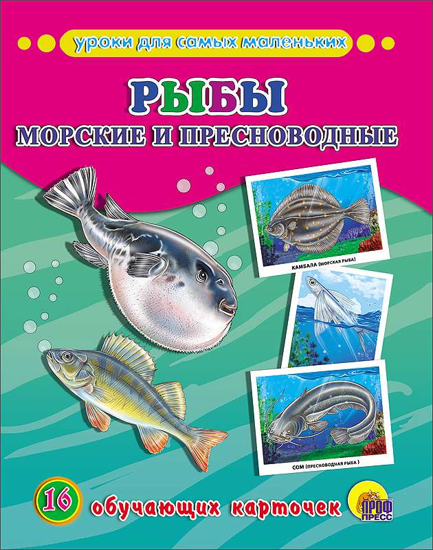 Обучающие карточки 25304-3 Рыбы морские и пресноводные Проф-Пресс