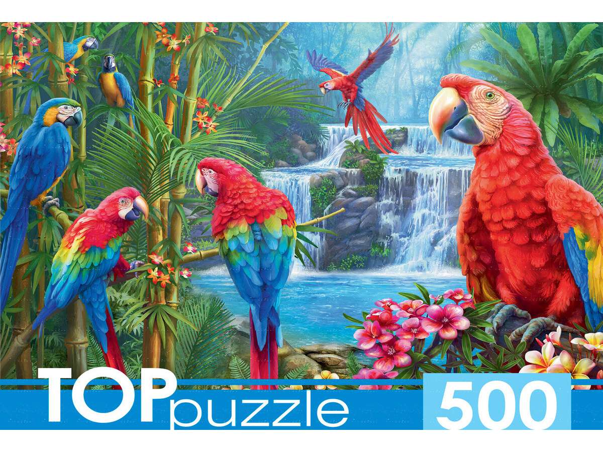Пазлы 500 элементов ХТП500-6975 Яркие попугаи Рыжий кот