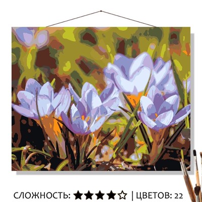 Картина Первые подснежники рисование по номерам 50*40см КН50402066