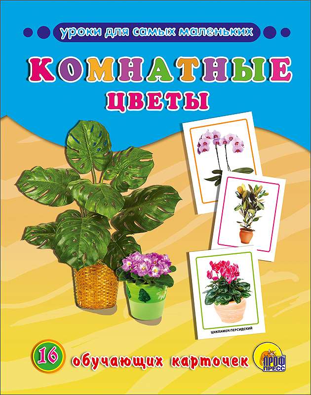 Обучающие карточки 25300-5 Комнатные цветы Проф-Пресс