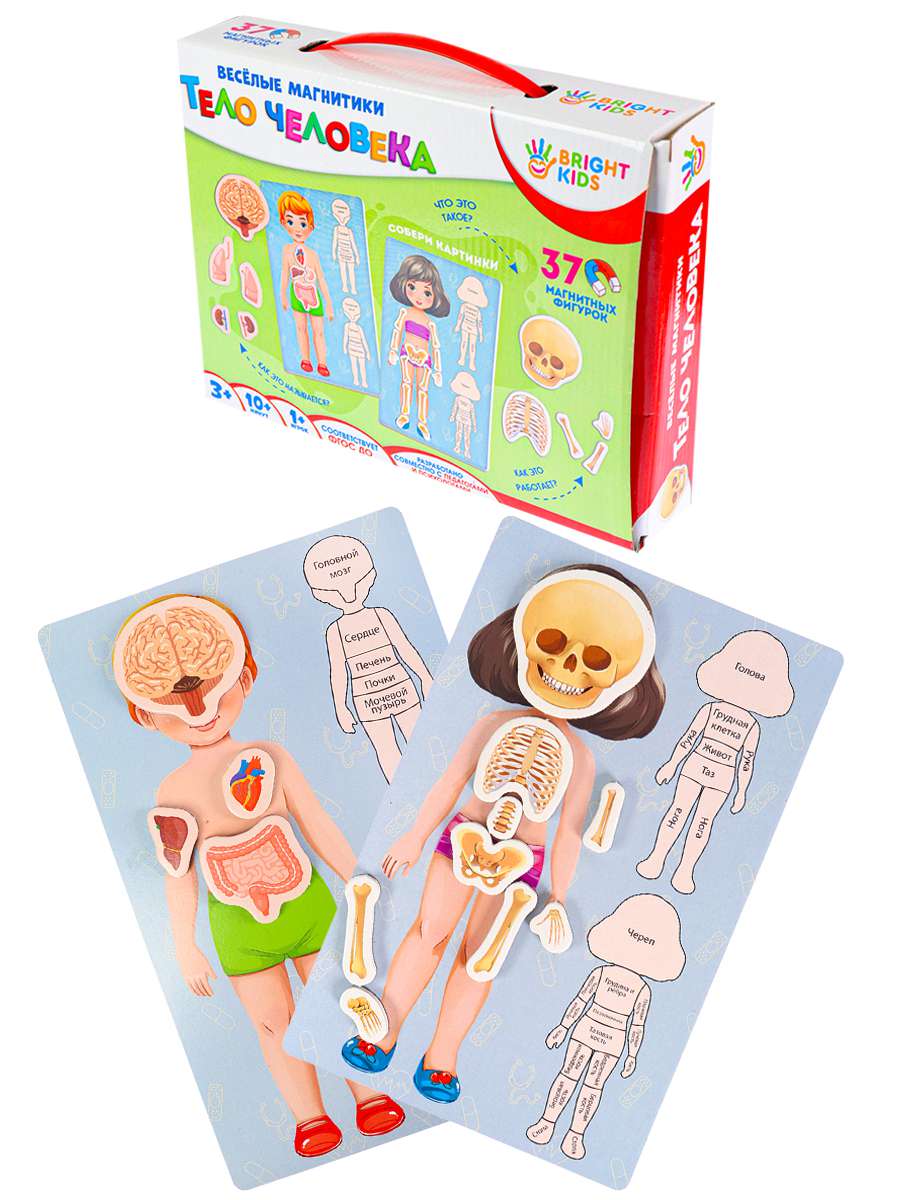 Игры магнитные ИН-5520 Тело человека Рыжий кот