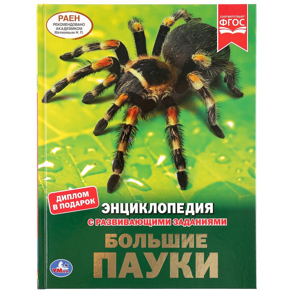 Энциклопедия 43096 Большие пауки А4 48стр ТМ Умка